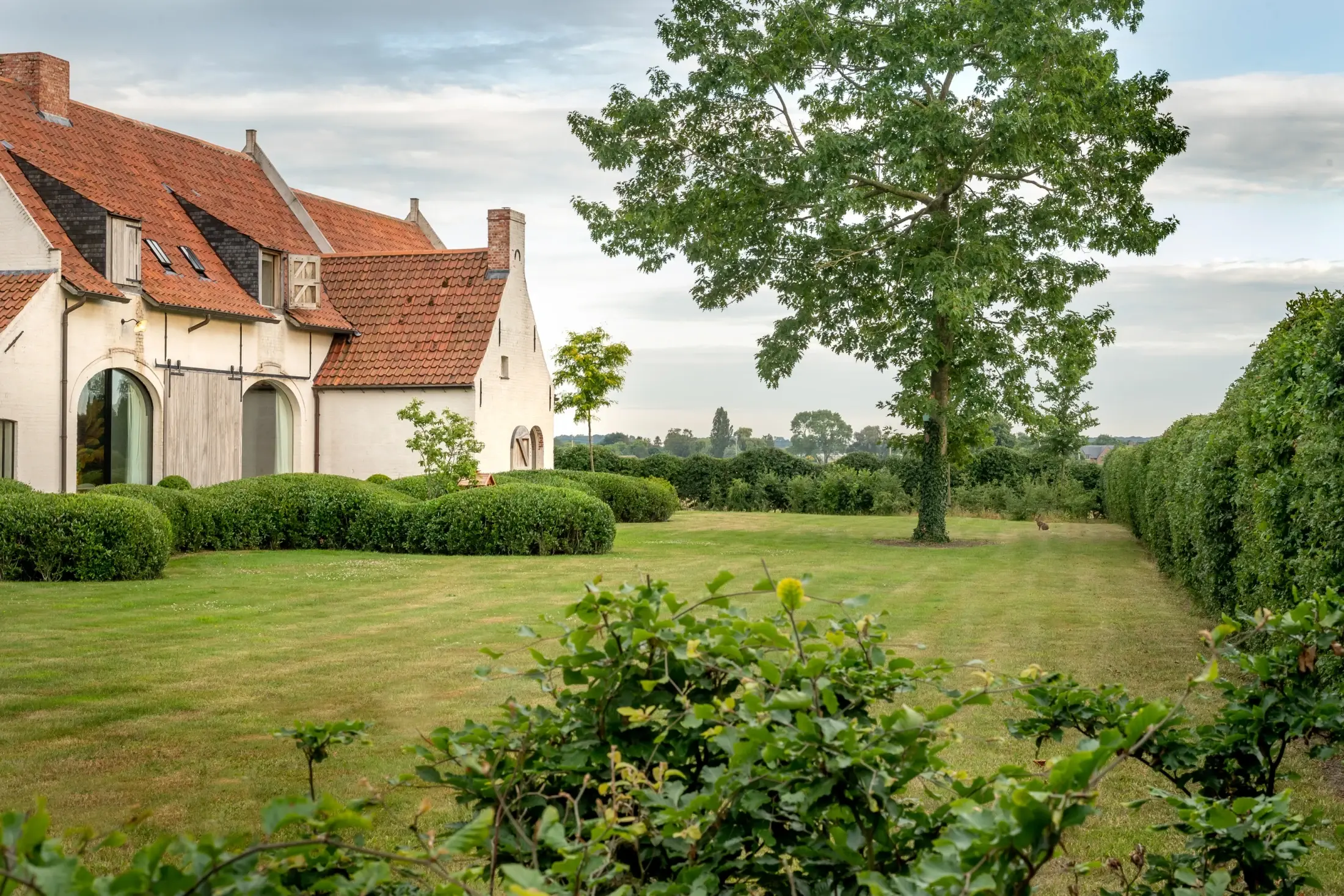 Lichtrijke woning met tuin (kopie)